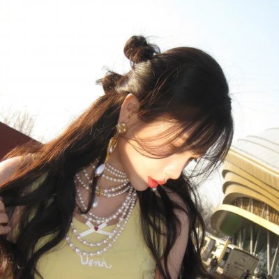 蜘蛛与郁金香