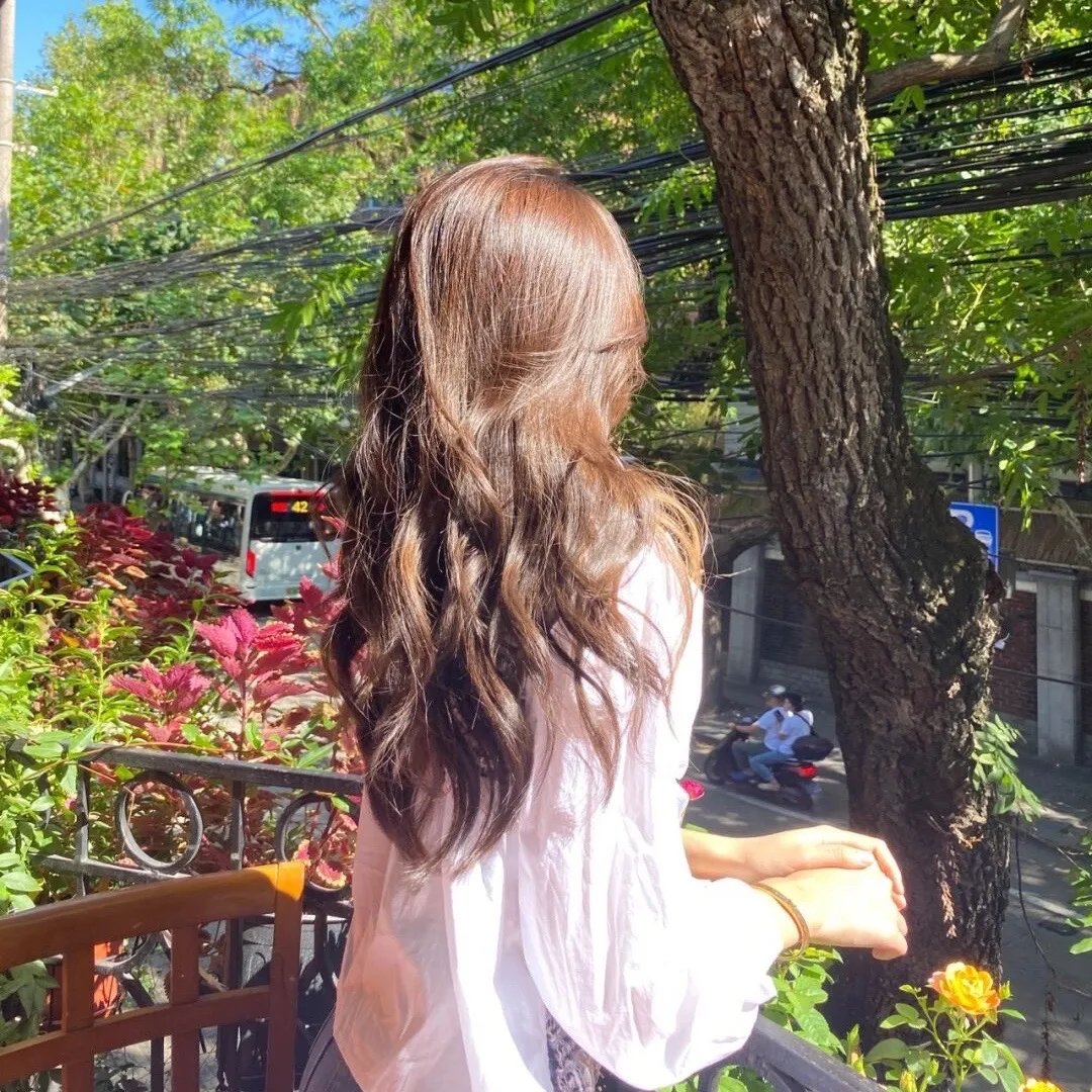 史前巨鳄3